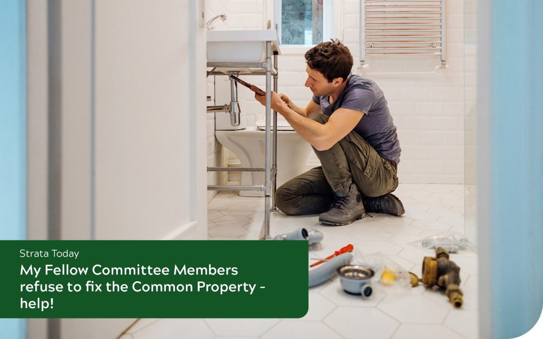 My Fellow Committee Members refuse to fix the Common Property – help!
