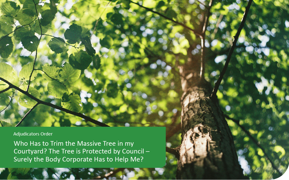 Who Has to Trim the Massive Tree in my Courtyard? The Tree is Protected by Council – Surely the Body Corporate Has to Help Me?